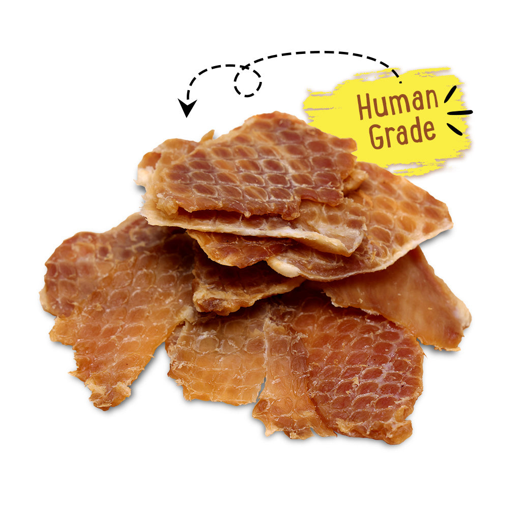 Bacon & Pork Jerky