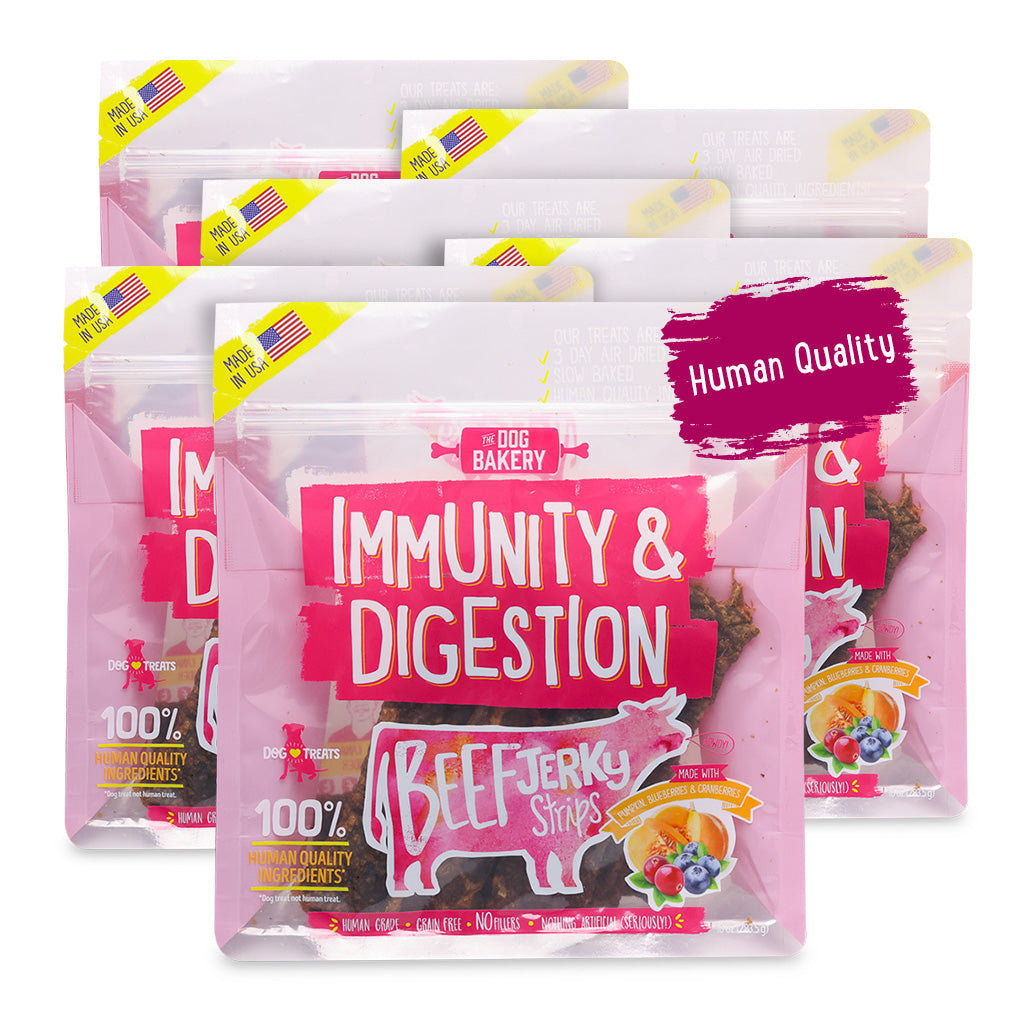 Beef Immunity & Digestion Jerky Strips Dog Treats - 10 oz