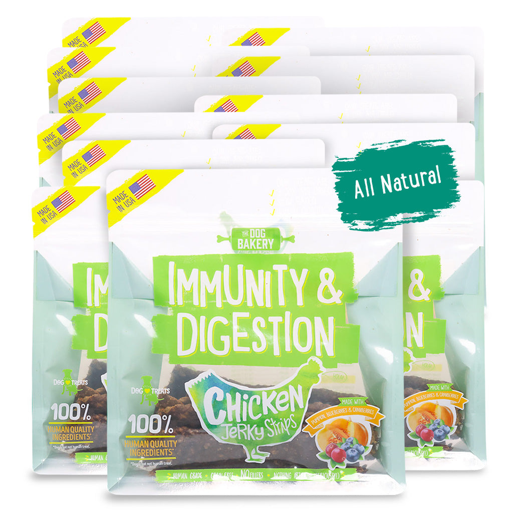 Chicken Immunity & Digestion Jerky Strips Dog Treats - 10 oz