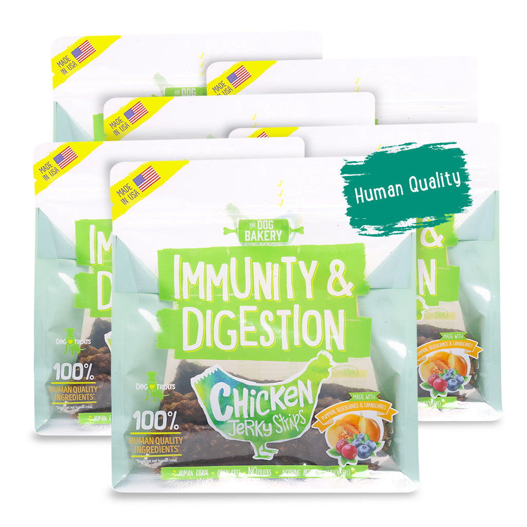 Chicken Immunity & Digestion Jerky Strips Dog Treats - 10 oz