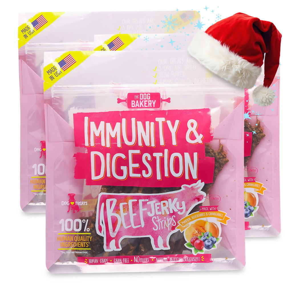 Beef Immunity & Digestion Jerky Strips Dog Treats - 10 oz