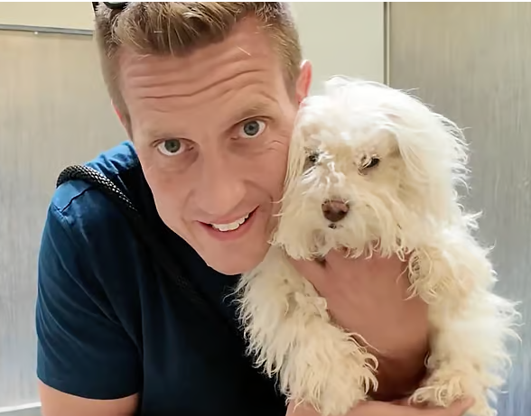 Give a Shelter Dog a Groom