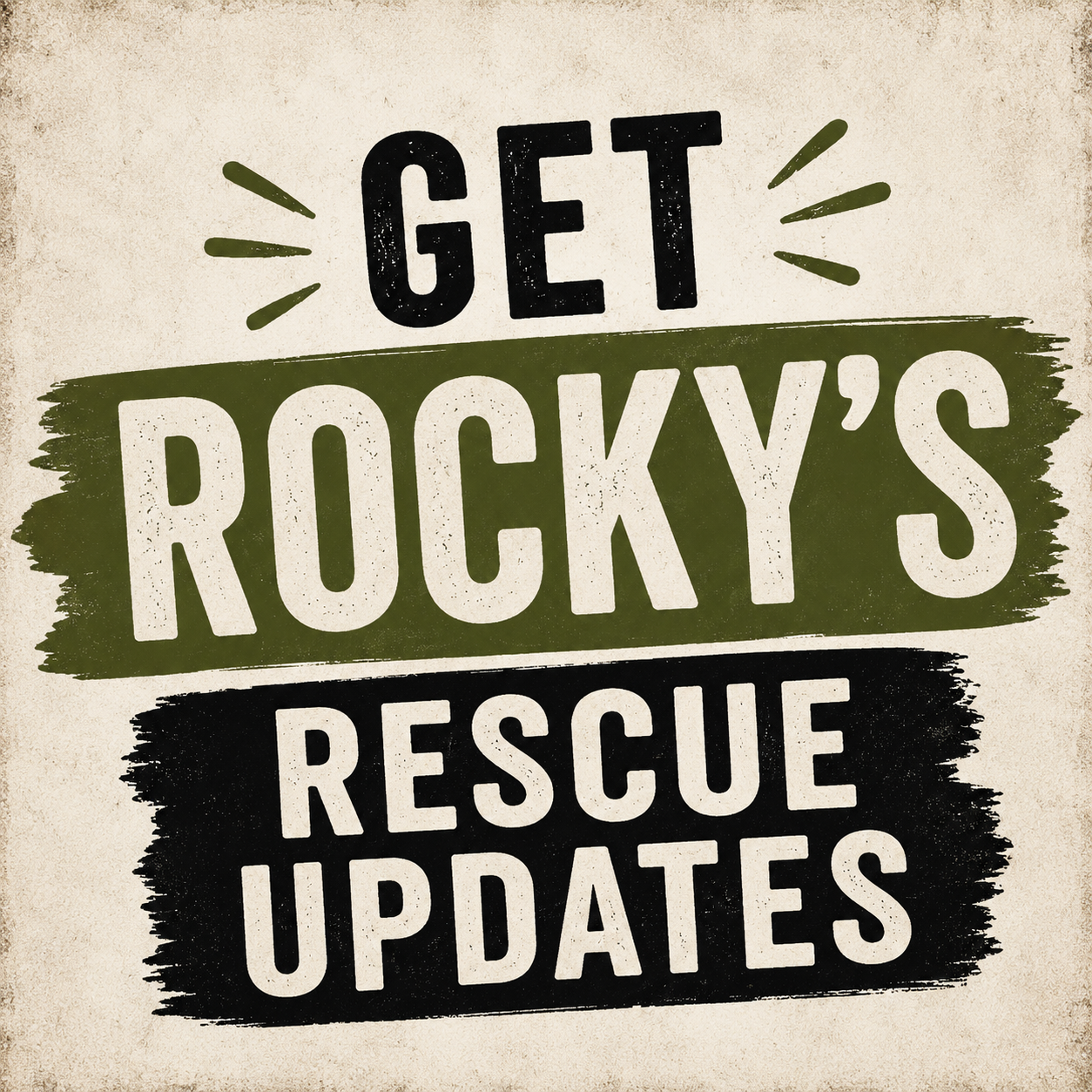 Get Rocky’s Rescue Updates