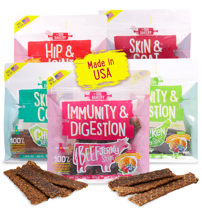 Chicken Immunity & Digestion Jerky Strips Dog Treats - 10 oz