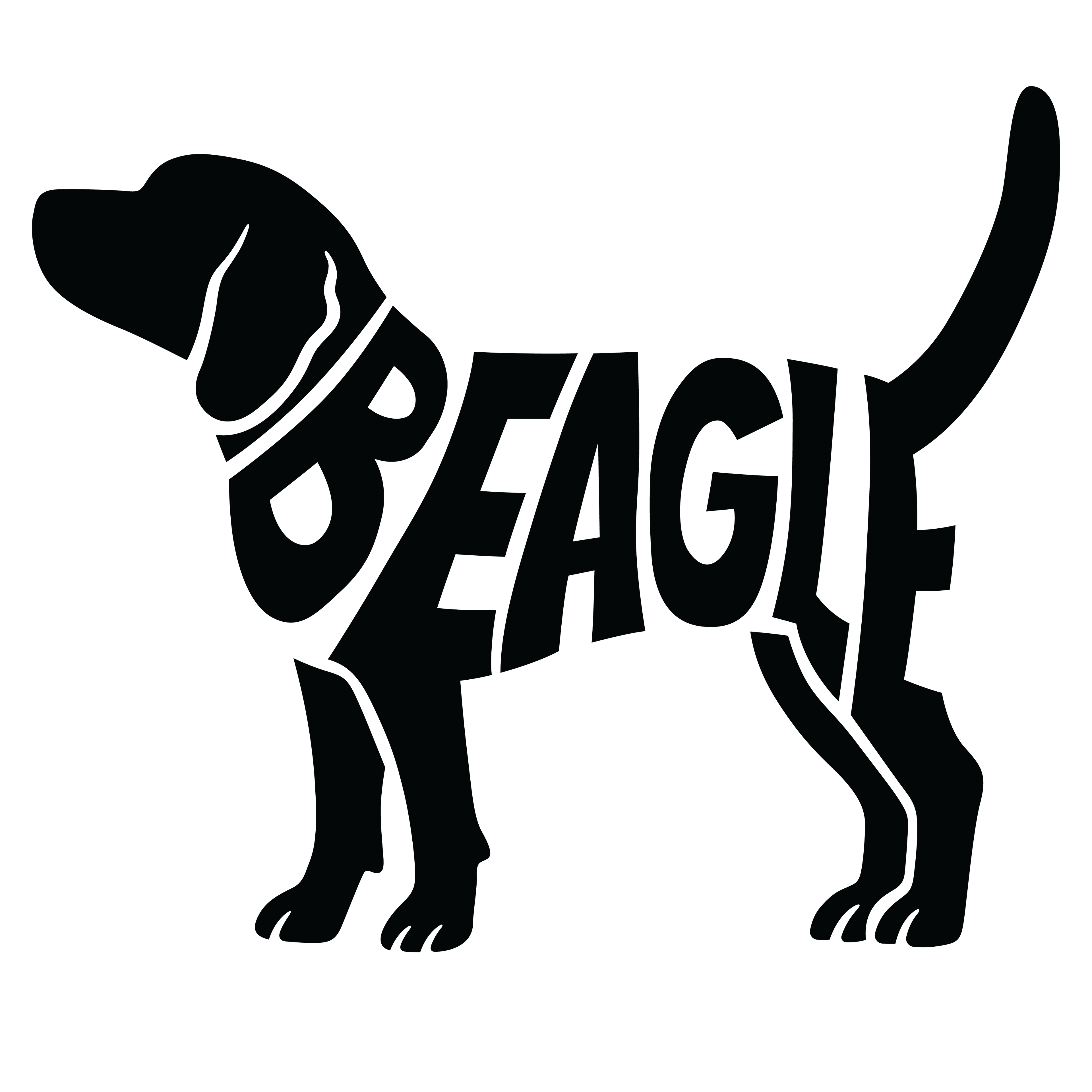 Beagle
