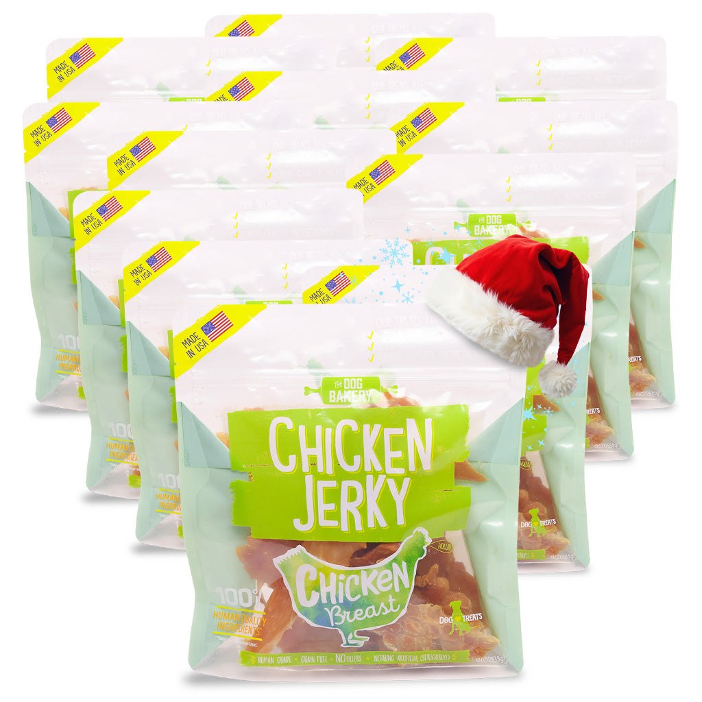 Chicken Breast Jerky Dog Treats - 10 oz