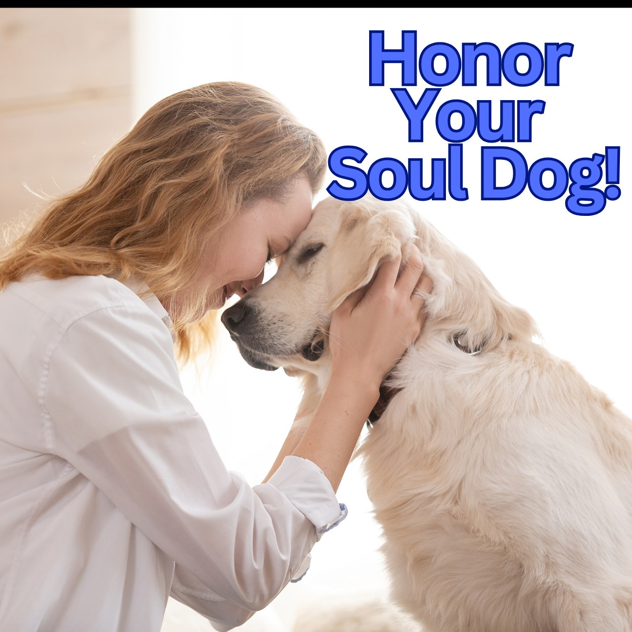 Coffee Plant Contribution