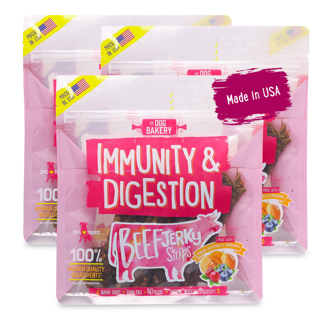 Beef Immunity &amp; Digestion Jerky Strips Dog Treats - 10 oz
