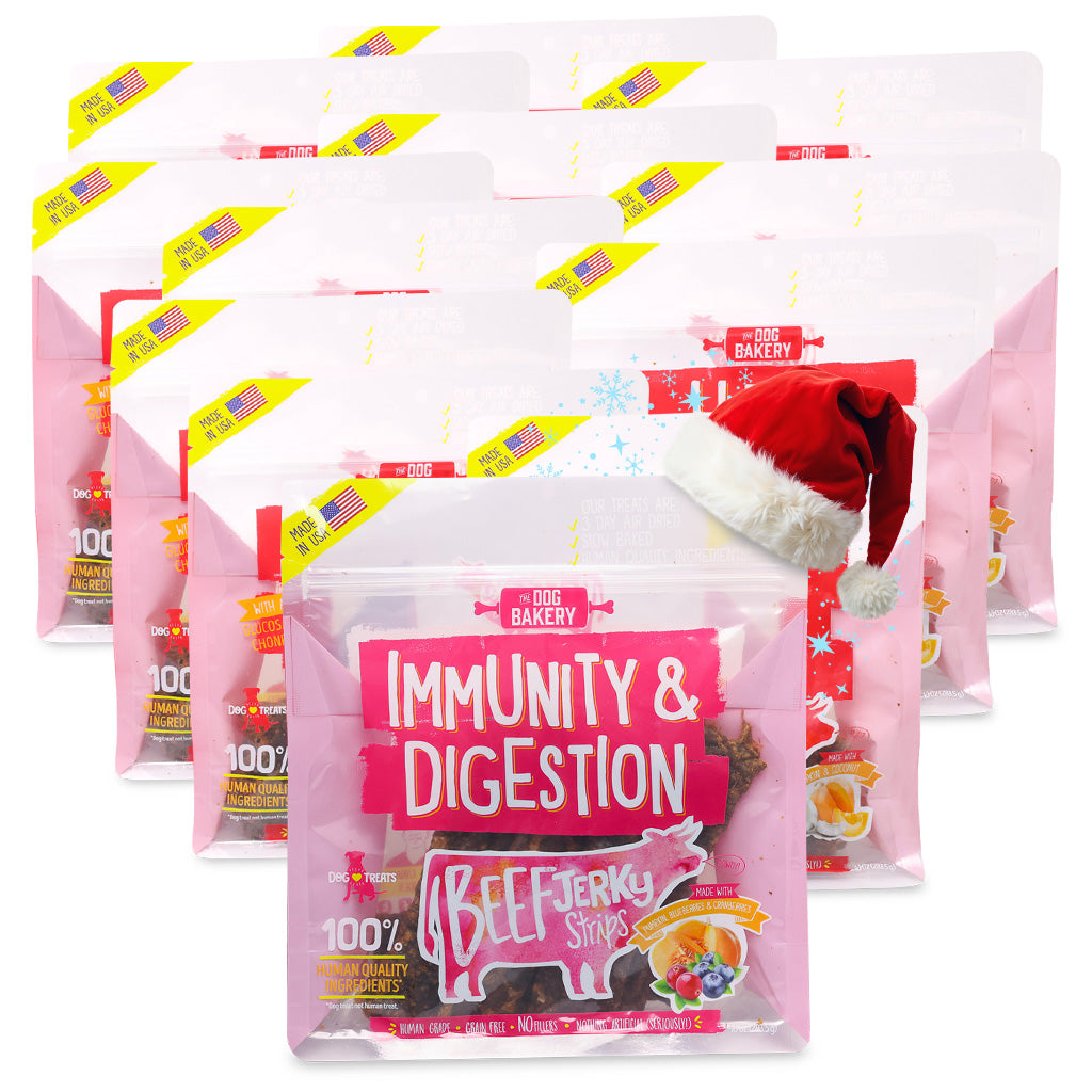 Beef Immunity &amp; Digestion Jerky Strips Dog Treats - 10 oz