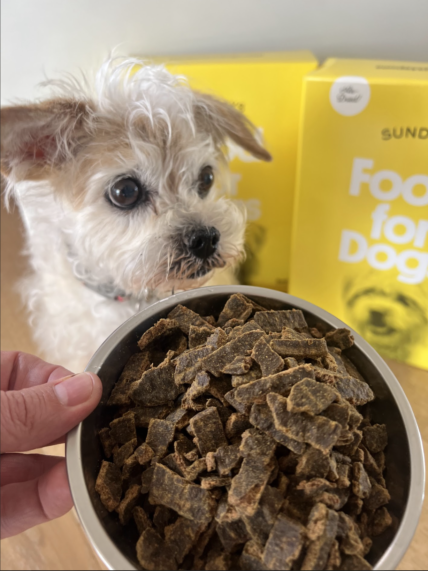 Sundays Air Dried Dog Food - Beef 30