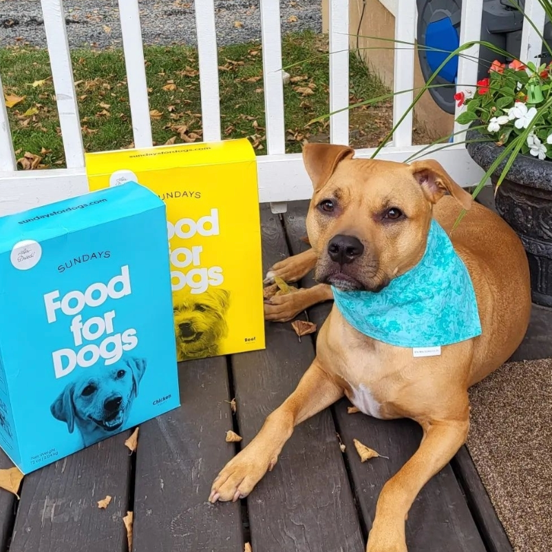 Sundays Air Dried Dog Food - Chicken 30