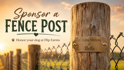 Fence Post Dedication