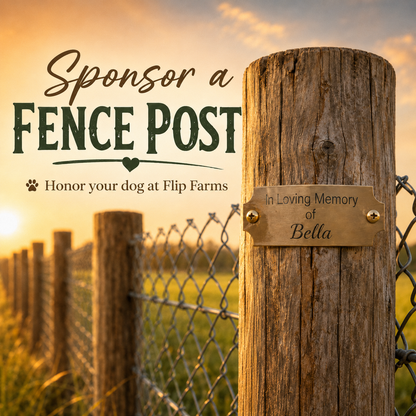 Fence Post Dedication